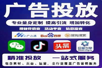 网络推广与竞价广告：双管齐下的策略案例
